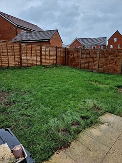 Landscaper Whiteley