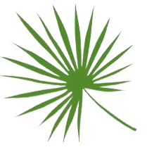 Palmscapes Logo